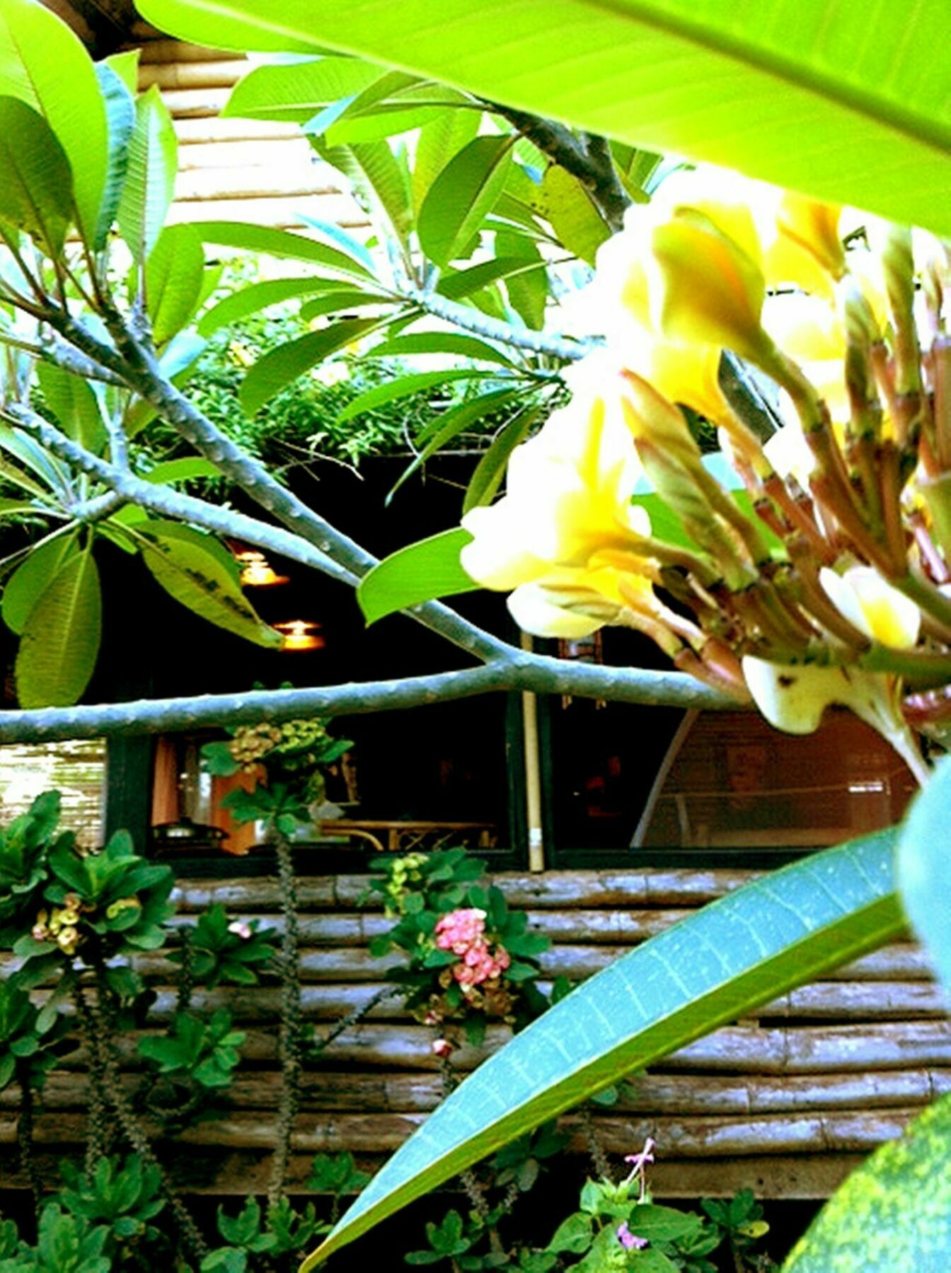 The Village House بويرتو برينسيسا المظهر الخارجي الصورة