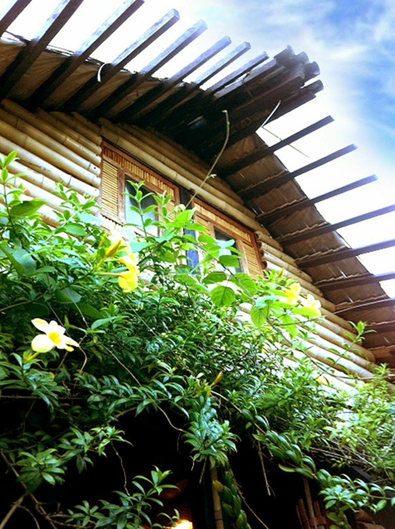 The Village House بويرتو برينسيسا المظهر الخارجي الصورة